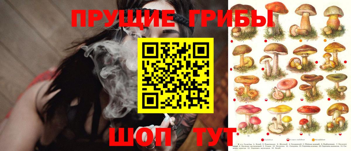 МЕФ Вязьма