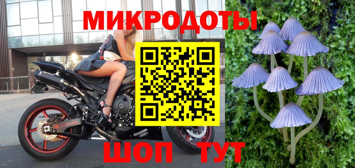Галлюциногенные грибы MAGIC MUSHROOMS Вязьма